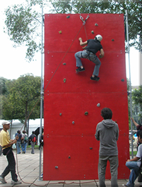VENTA DE MUROS DE ESCALADA RAPPEL VENTA DE PARED DE ESCALAR CURSOS DE CAPACITACION NOM 09 SECTURE